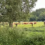 Himmelswege Lejlighed