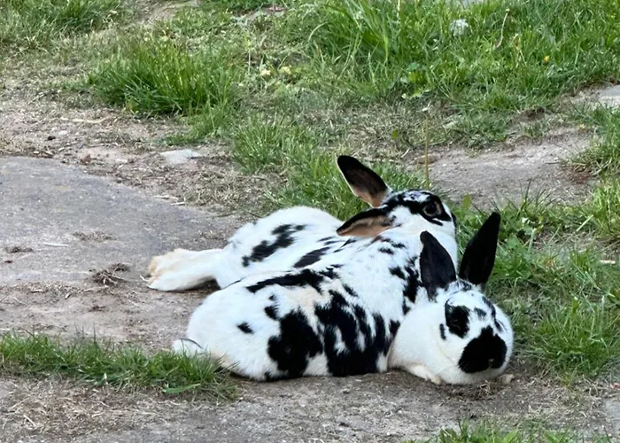 Himmelswege Appartement