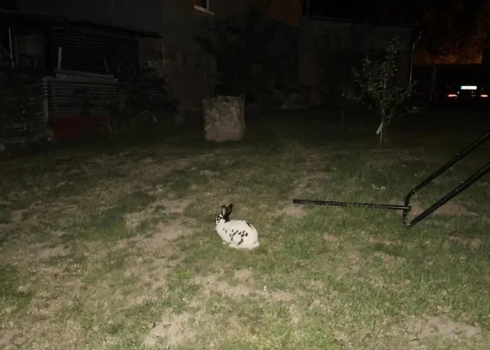 Himmelswege Appartement Niederdorla