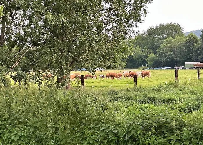 Himmelswege Appartement